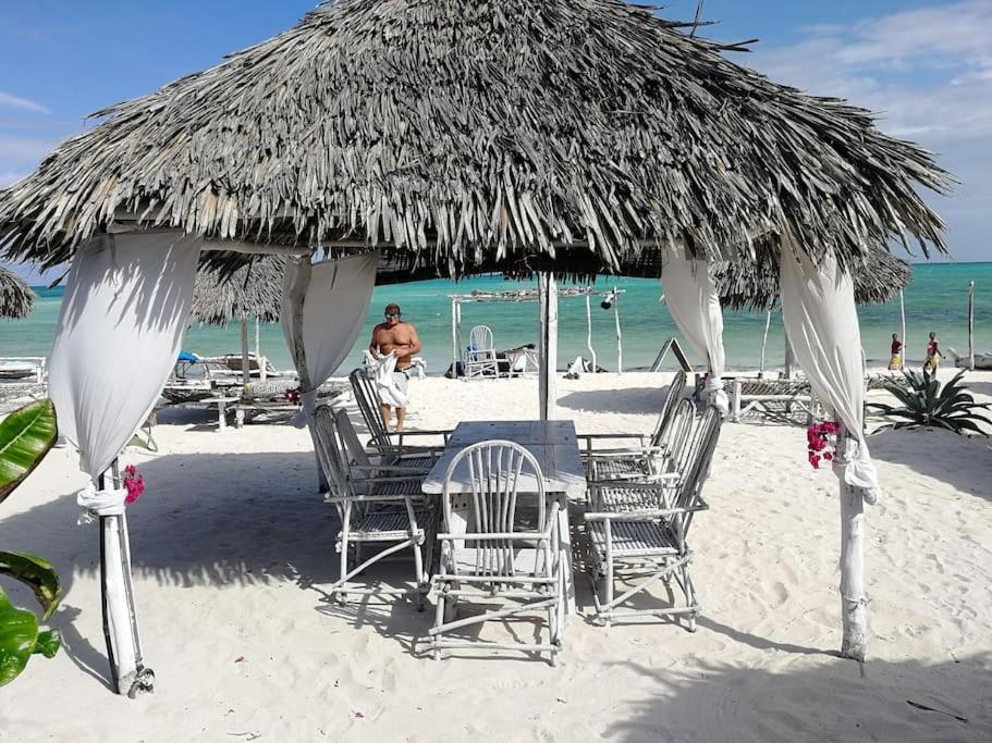 Twiga House Resort Piscina ☆☆☆☆☆ Pearl Beach 瓦塔穆 外观 照片