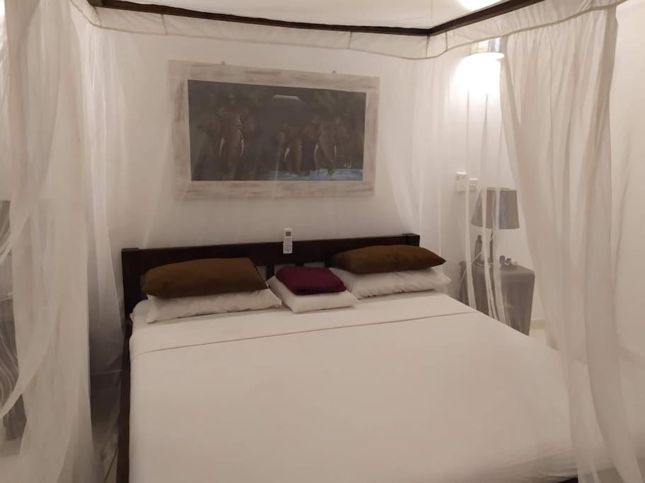 Twiga House Resort Piscina ☆☆☆☆☆ Pearl Beach 瓦塔穆 外观 照片
